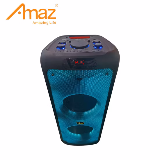 Factory Direct Price Flame Light Bluetooth Tws Speaker