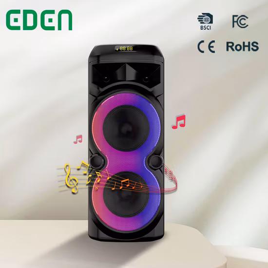 Temeisheng duplo woofer de 10 polegadas LED luz RGB ao ar livre portátil sem fio Bluetooth alto falante para festa